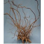 Macenauer Finger Wood L 40-60 cm – Hledejceny.cz