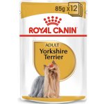 Royal Canin Yorkshire Adult 12 x 85 g – Zboží Mobilmania