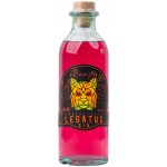 Legatus Gin Hafery 38% 0,5 l (holá láhev) – Zboží Dáma
