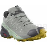 Salomon Speedcross 5 GTX W L41612800 wrought iron/spray/antique moss – Zboží Mobilmania