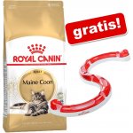 Royal Canin Adult Cat Urinary Care Poultry 10 kg – Zboží Dáma