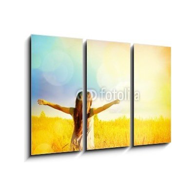 Obraz 3D třídílný - 105 x 70 cm - Free Happy Woman Enjoying Nature. Beauty Girl Outdoor. Zdarma šťastná žena užívat přírody. Krásy dívka venkovní. – Zboží Mobilmania