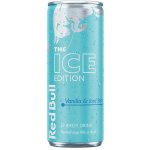 Red Bull The Winter Edition Vanilla & Iced Berry 250 ml – Sleviste.cz