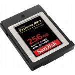 SanDisk SDC 256G SDCFE-256G-GN4NN – Hledejceny.cz