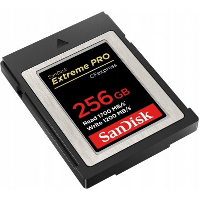 SanDisk SDC 256G SDCFE-256G-GN4NN – Zboží Mobilmania