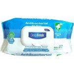 Deep Fresh Ubrousky antibakteriální 100 ks – Zboží Dáma