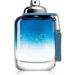 Coach Blue toaletní voda pánská 100 ml – Hledejceny.cz