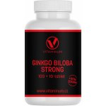Vitaminum Gingko Biloba STRONG 110 tablet – Hledejceny.cz