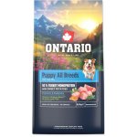Ontario Puppy & Junior All Breeds Monoprotein Turkey & Sweet Potatoes 13 kg – Hledejceny.cz