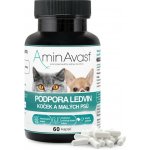 AminAvast Kočka 60 cps – Zboží Dáma