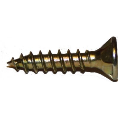 Vruty RAPI-TEC 2010 5x25mm zápustná hlava TX25 galvanický zinek – Hledejceny.cz