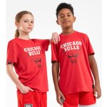 Tarmak dětské basketbalové tričko TS900 NBA Chicago Bulls – Hledejceny.cz