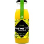 Hollinger Sirup zázvorový 0,5 l – Sleviste.cz