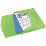 Esselte Box na spisy s gumičkou Jumbo Vivida, Vivida zelená, 40 mm, A4, PP – Hledejceny.cz