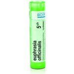 EUPHRASIA OFFICINALIS POR 5CH GRA 1X4G – Hledejceny.cz