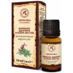 Aroma kompozice éterických olejů Formule zdraví v období nachlazení 10 ml – Hledejceny.cz
