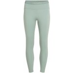 ICEBREAKER Wmns 300 MerinoFine Polar Leggings, Moss – Zboží Dáma