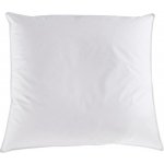 Häussling Polštář z prachového peří Premium 70x90 – Sleviste.cz