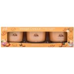 Yankee Candle Mango Ice Cream 3 x 37 g – Hledejceny.cz