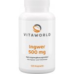 Vitaworld Ginger 500 mg 120 kapslí – Hledejceny.cz