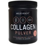 Woldo Health 100% hydrolyzovnaný hovězí kolagen na pleť i klouby 500 g – Zbozi.Blesk.cz