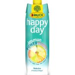 Rauch Happy Day Immun Power Magnesium a Vitamin D 1 l – Sleviste.cz