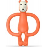 Matchstick Monkey zubní kartáček a 2v1 Animal Collection Medvěd – Zboží Dáma