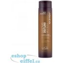 Joico Color Infuse Copper Conditioner 300 ml