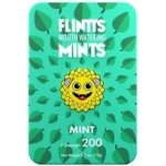 FLINTTS MINTS pastilky proti suchu v ústech Mint 15 g – Sleviste.cz