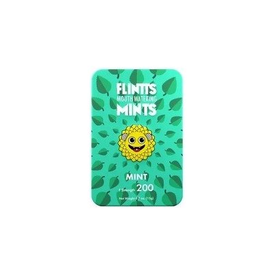 FLINTTS MINTS pastilky proti suchu v ústech Mint 15 g