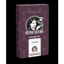 California Indica feminizovaná semena marihuany, 5ks Sensi Seeds