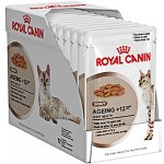 Royal Canin Feline Ageing 12 + Jelly 12 x 85 g – Hledejceny.cz