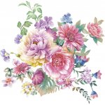 MAKI Ubrousky 33x33cm 3-vrstvé C 0535 01 20ks – Zboží Dáma