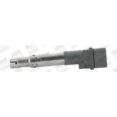 Zapalovací cívka BorgWarner (BERU) ZSE044 – Hledejceny.cz
