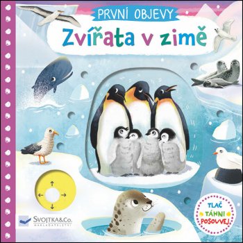 Zvířata v zimě - Jenny Wren