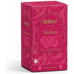 Biogena Traditional Malina porcovaný ovocný čaj 20 x 2 g – Sleviste.cz