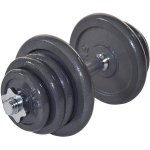 FitnessLine Jednoruční nakládací činka 25 kg – Zboží Mobilmania