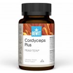 Bewit Prawtein cordyceps plus 100 ml – Hledejceny.cz