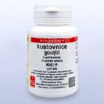 Sinecura kustovnice Goji gouqizi 20 g instantní prášek – Hledejceny.cz