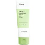 iUNIK Centella Calming Gel Cream Zklidňující Gel-Krém s Pupečníkem Asijským 60 ml – Zboží Mobilmania