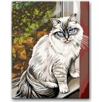 Zuty Malování podle čísel BÍLÁ KOČKA V OKNĚ – Zboží Mobilmania