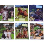 Reas Pack Sešit 540 A5 nelinkovaný 40l 3D MIX – Hledejceny.cz