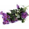 Květina Prima-obchod Umělá mini chryzantéma, barva 4 fialová