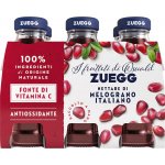 Zuegg nektar z granátového jablka 6 x 125 ml – Hledejceny.cz