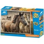 PRIME 3D PUZZLE Koně 300 ks – Sleviste.cz