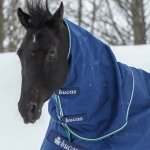 Bucas Krční díl Smartex blue with stripe – Sleviste.cz