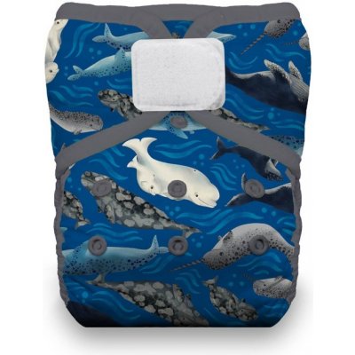 Thirsties One Size Pocket Diaper na SZ Ocean Lullabies