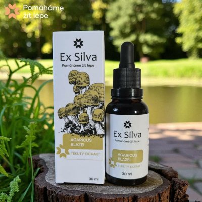 Agaricus blazei Ex Silva Houba života 30 ml – Hledejceny.cz