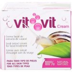 Diet Esthetic Vit Vit Snail Extract Cream krém s hlemýždím extraktem 50 ml – Hledejceny.cz