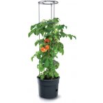 Euronářadí Květináč na pěstování rajčat TOMATO GROWER 29,5 cm – Hledejceny.cz